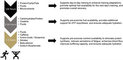 Editorial: Pre-workout nutrition